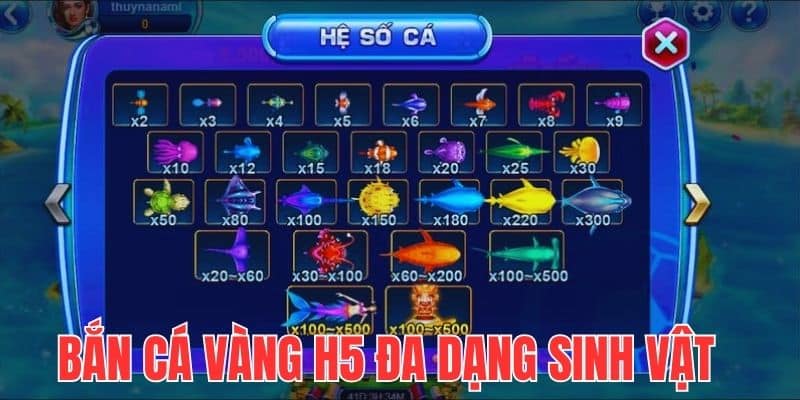 Khám phá đại dương đa dạng sinh vật biển