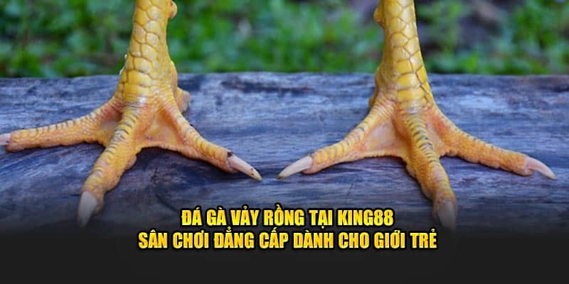 gà vảy rồng